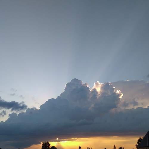 Photo #8197153