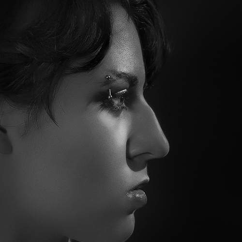 Photo #8197268