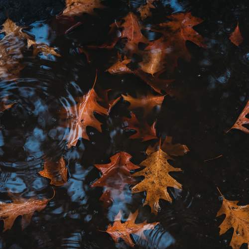 Photo #8197391