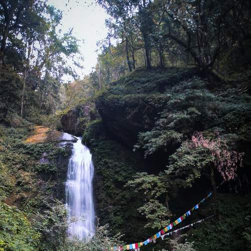 Photo #8197738