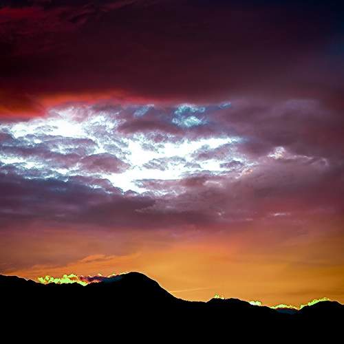 Photo #8197791