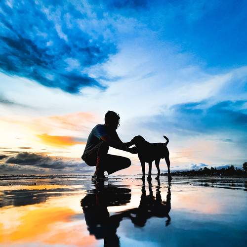 Photo #8197847