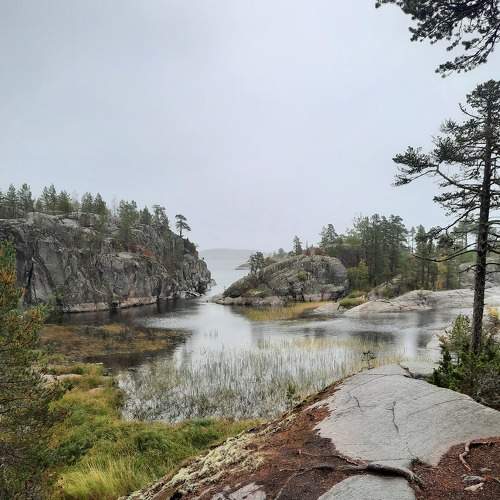 Photo #8198011
