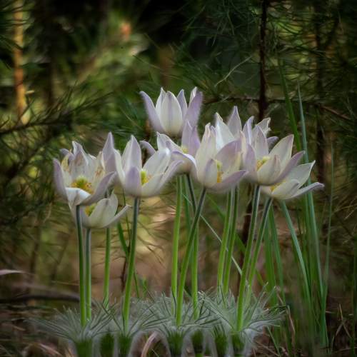 Photo #8198096