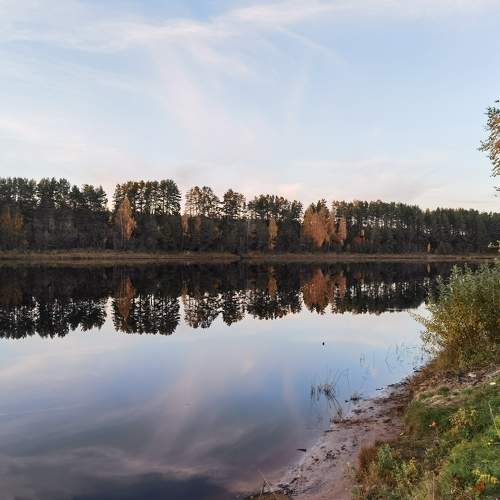 Photo #8198166