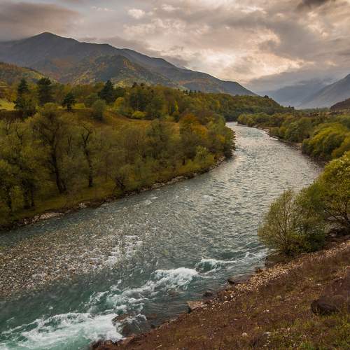 Photo #8198292