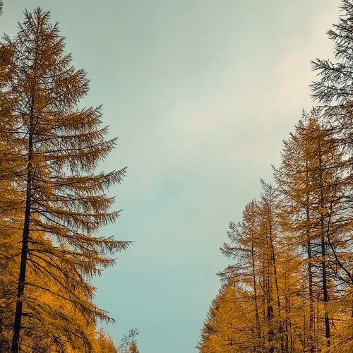 Photo #8198631