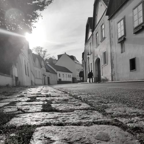 Photo #8198782