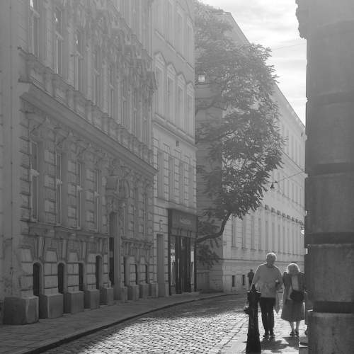 Photo #8198813