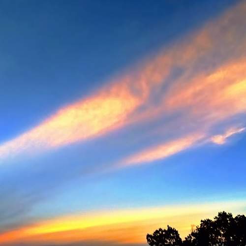 Photo #8198857