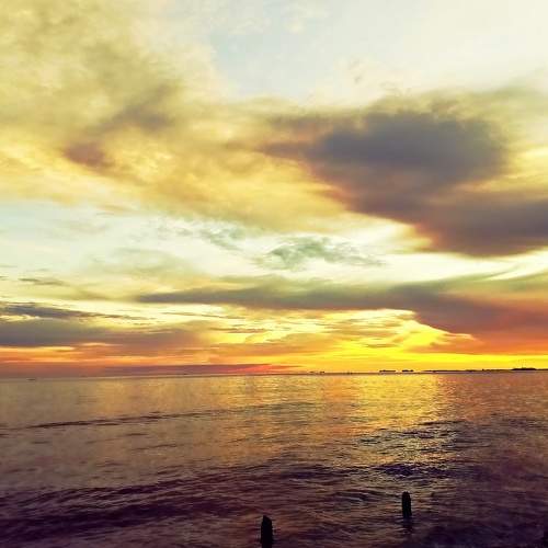 Photo #8198858