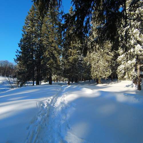 Photo #8199217