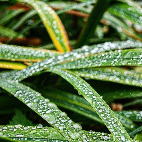 Photo #8200376