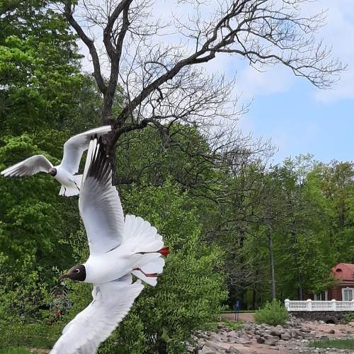 Photo #8200504
