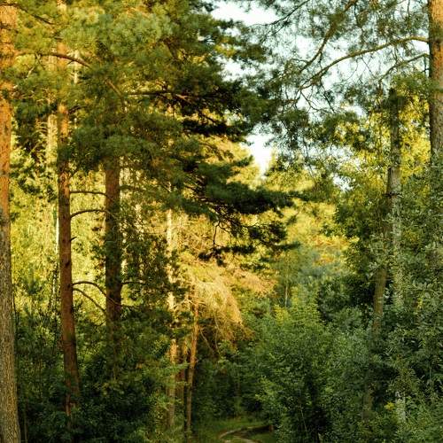 Photo #8200665
