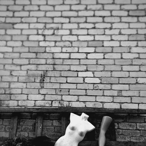 Photo #8200715