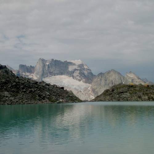 Photo #8200800