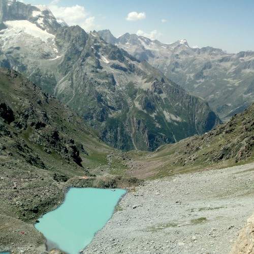 Photo #8200804
