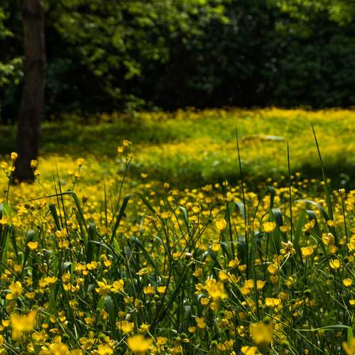 Photo #8201968