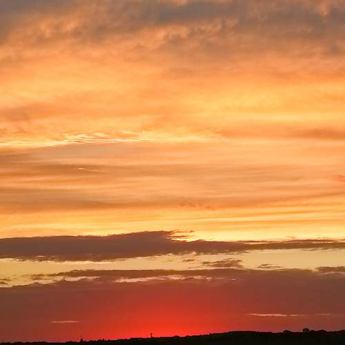 Photo #8202642