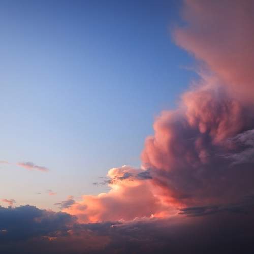 Photo #8202712