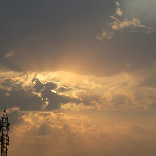 Photo #8203013