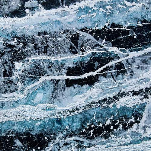 Photo #8203384