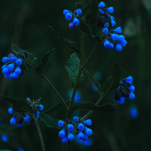Photo #8203438