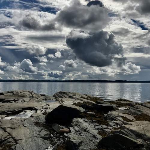 Photo #8203610