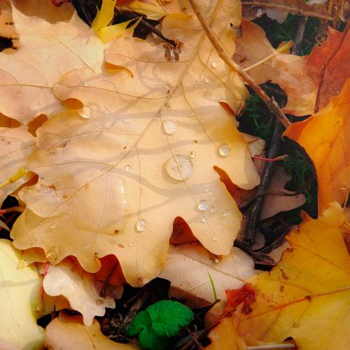 Photo #8203906
