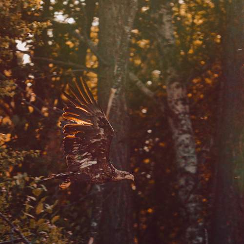 Фотография #8203925