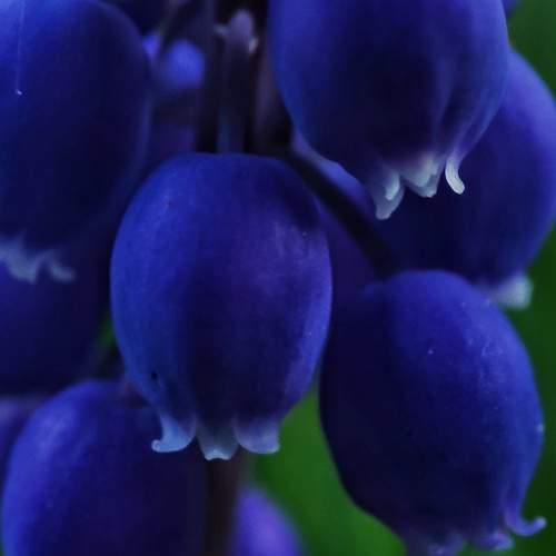 Photo #8204532