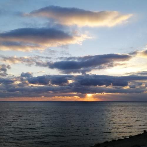 Photo #8204610