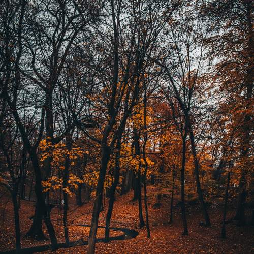 Photo #8204900