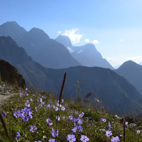 Photo #8205136