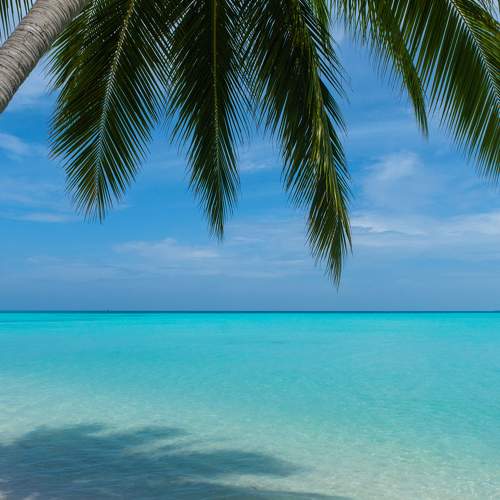 Фотография #8205207