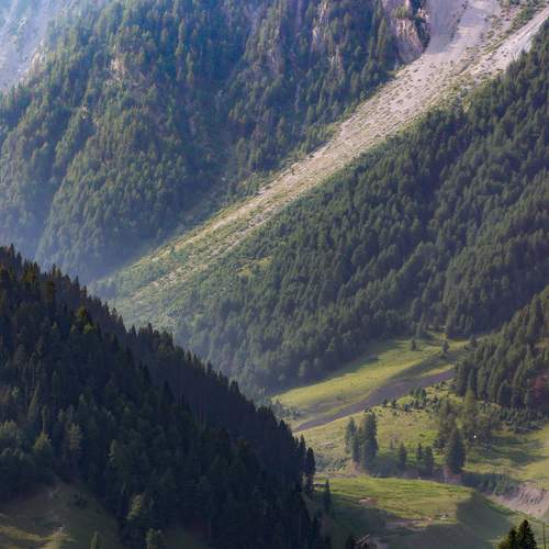 Photo #8205785