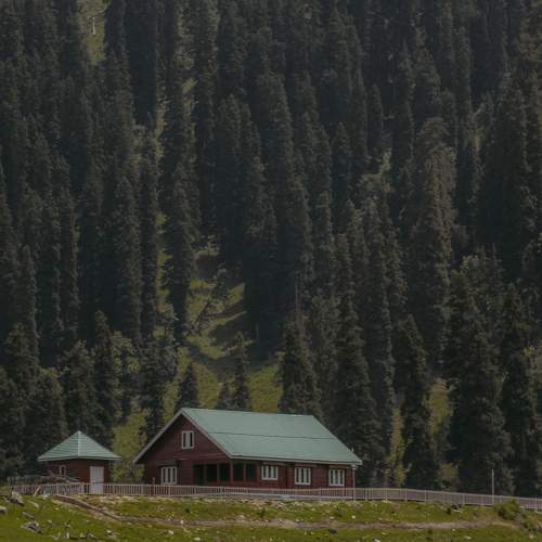 Photo #8205786
