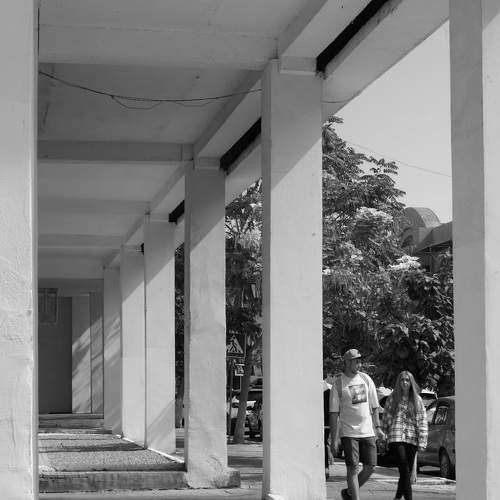 Photo #8205837