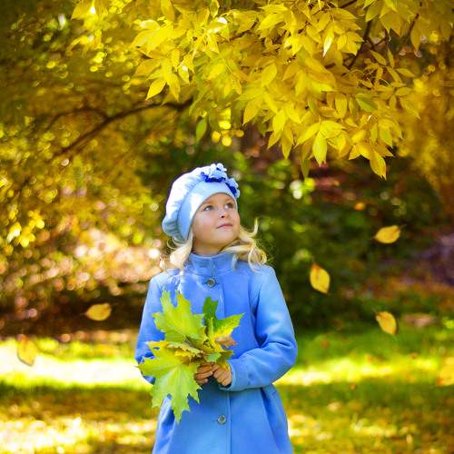 Photo #8206313