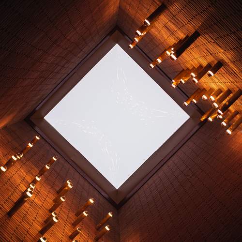Photo #8206464