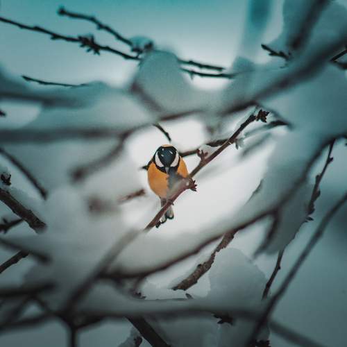 Photo #8206644