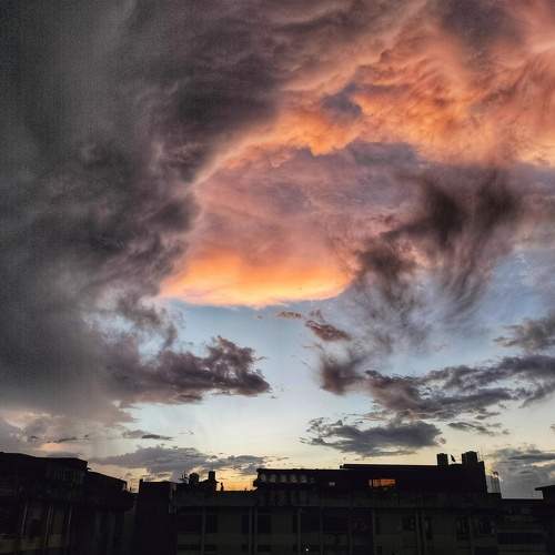 Photo #8207087