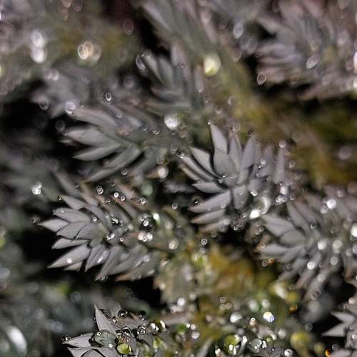 Photo #8207158