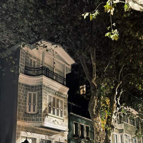 Photo #8207295