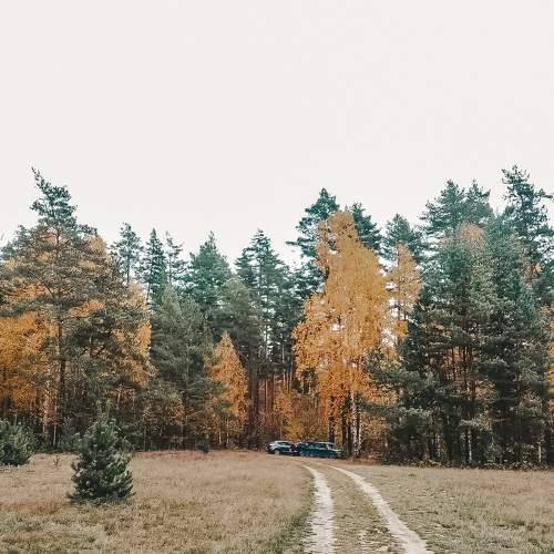 Photo #8207623