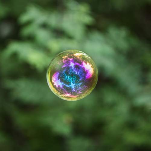 Photo #8207647
