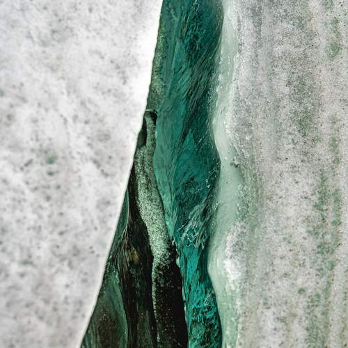 Photo #8207649