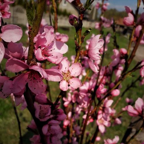 Photo #8207654