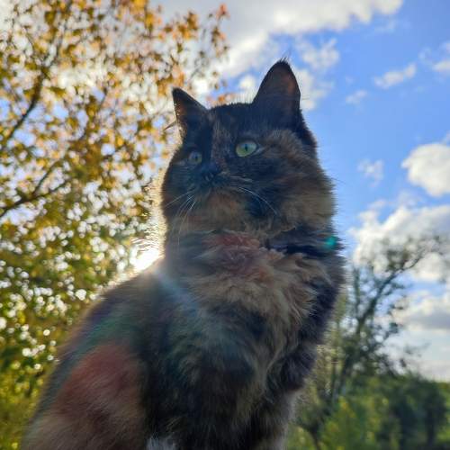Photo #8207771
